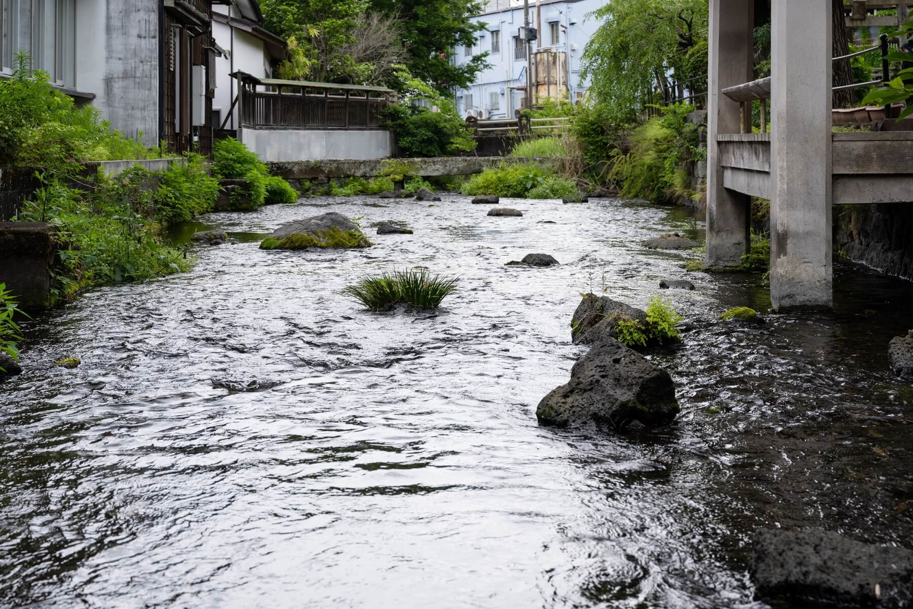 NAC Co., Ltd. is based in Mishima City, Shizuoka Prefecture, which has abundant water coming from Mt. Fuji